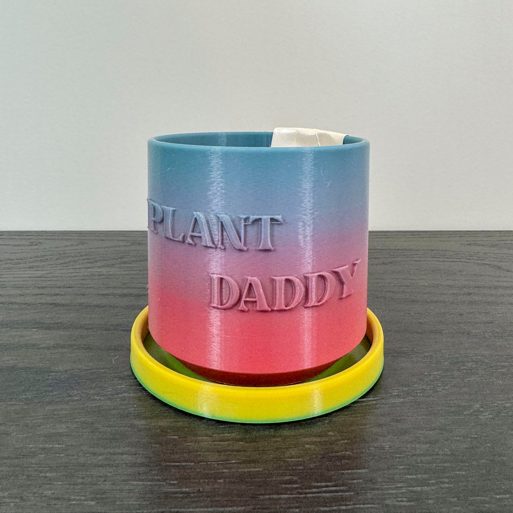 Rainbow 3D printed plant daddy planter