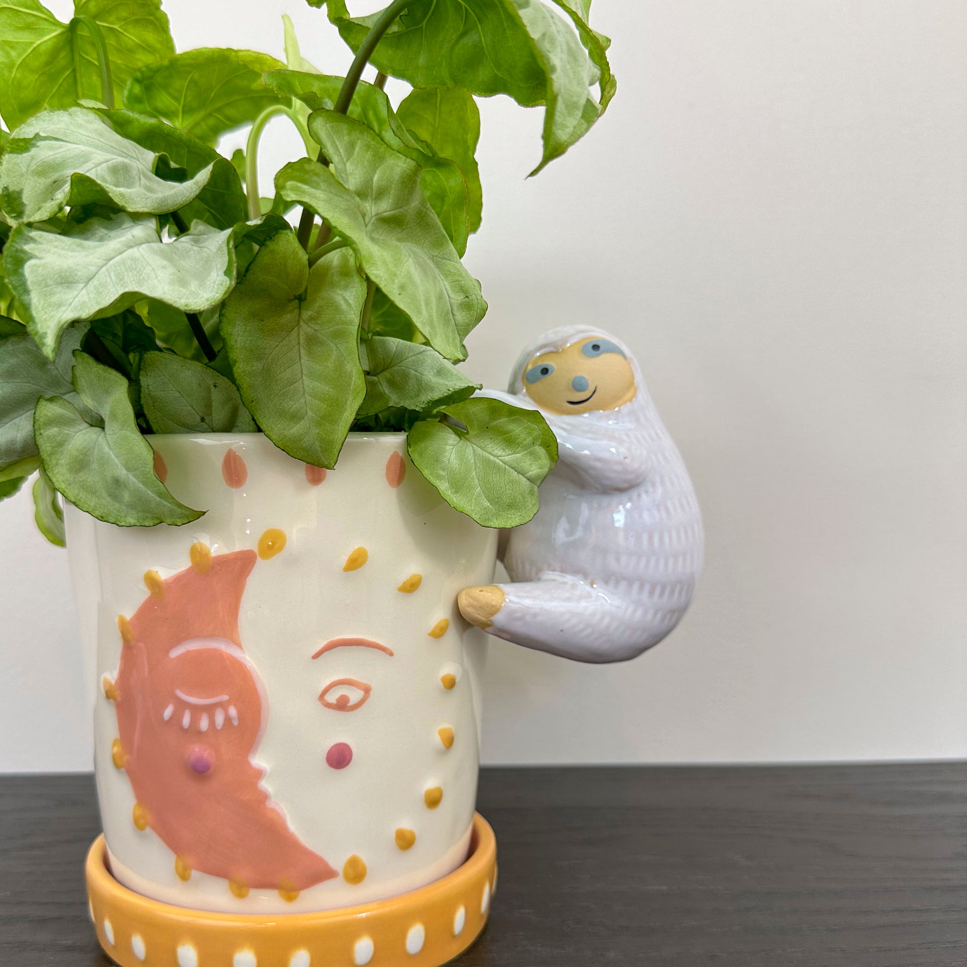 Sloth planter hanger hanging from a pot