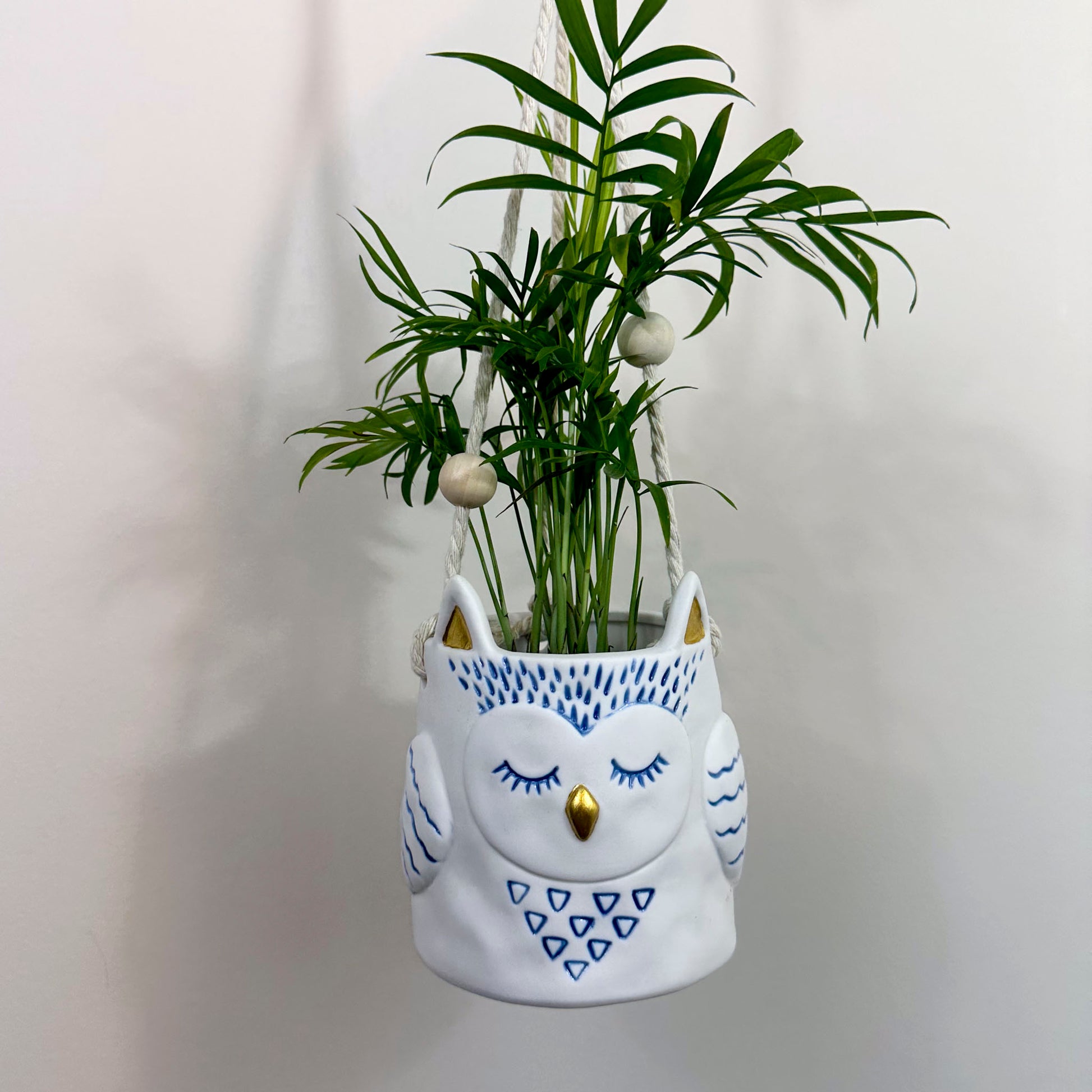 Hanging owl planter holding a palm