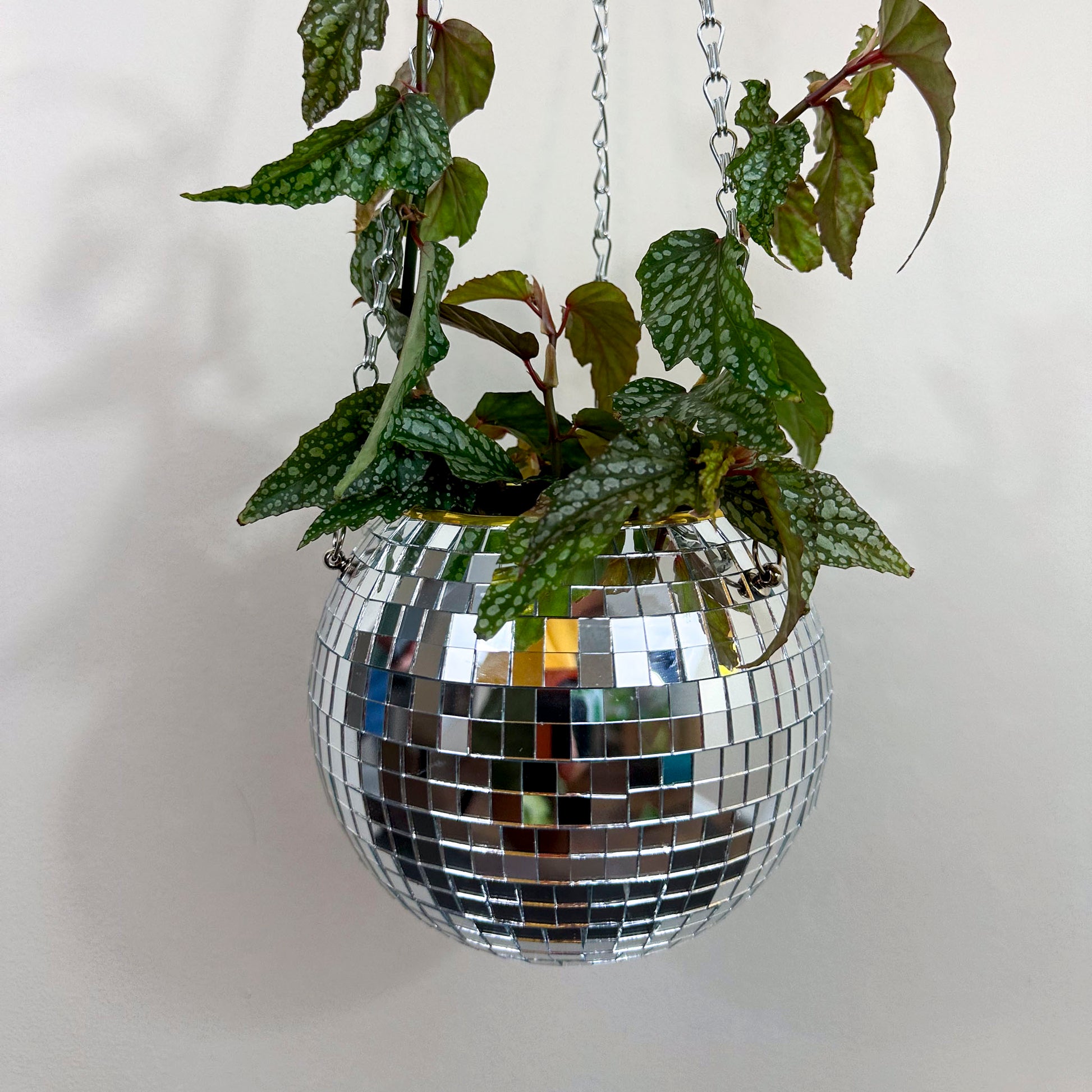 Close up of hanging disco ball planter holding a begonia