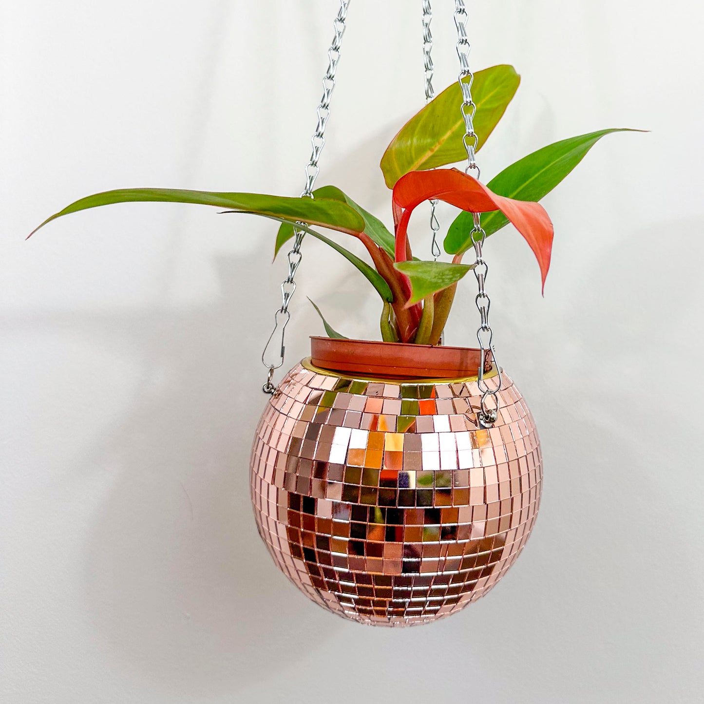 Close up of rose gold hanging planter holding a philodendron